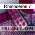Rhinocéros 7 09